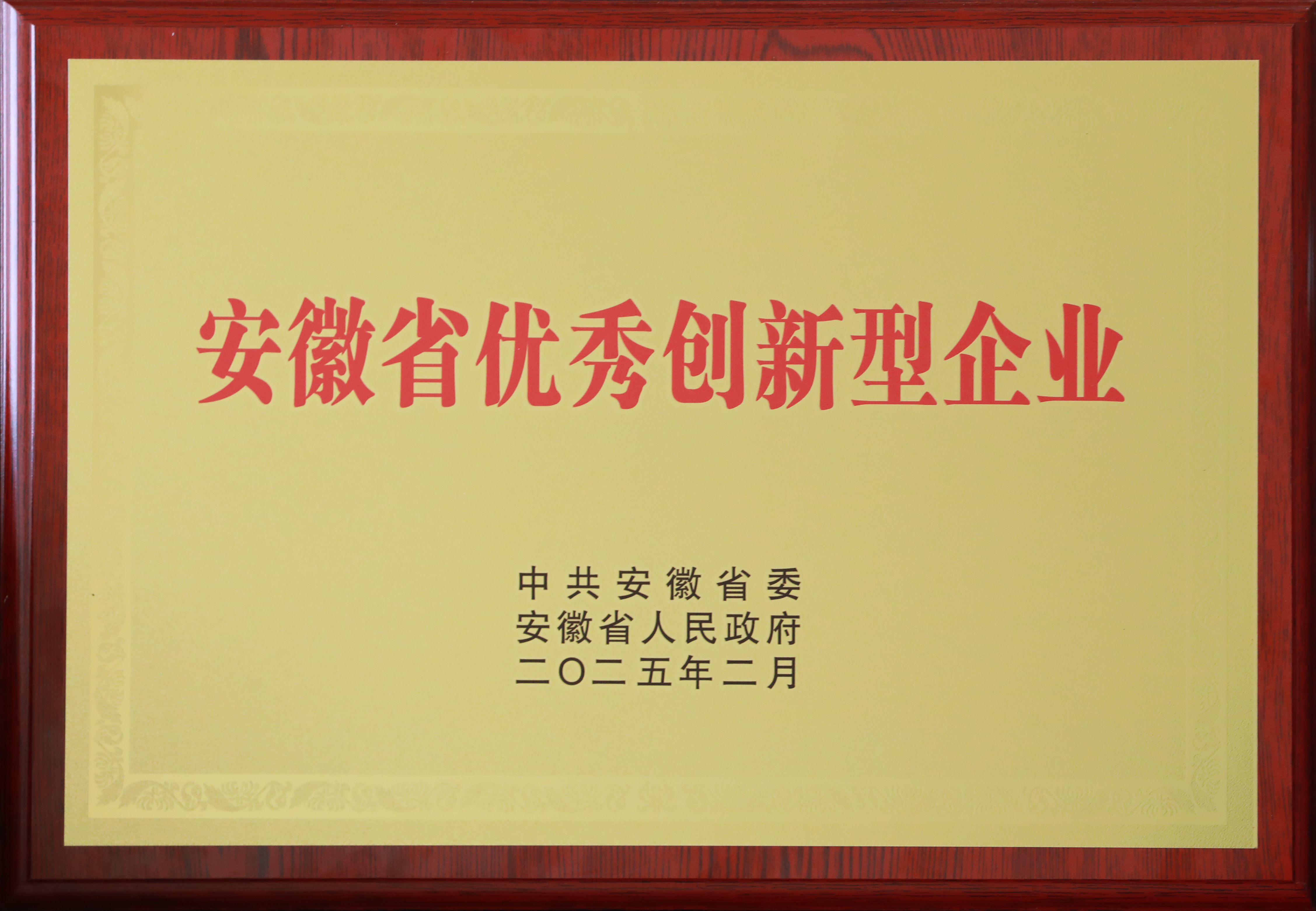 安徽省優秀創新型企業.png